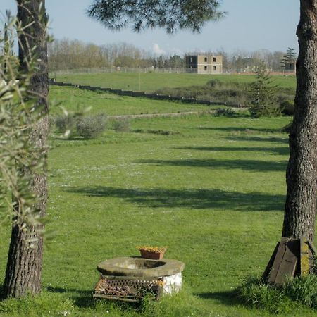 Il Casale Di Gardenia Bed & Breakfast Cesano Dış mekan fotoğraf
