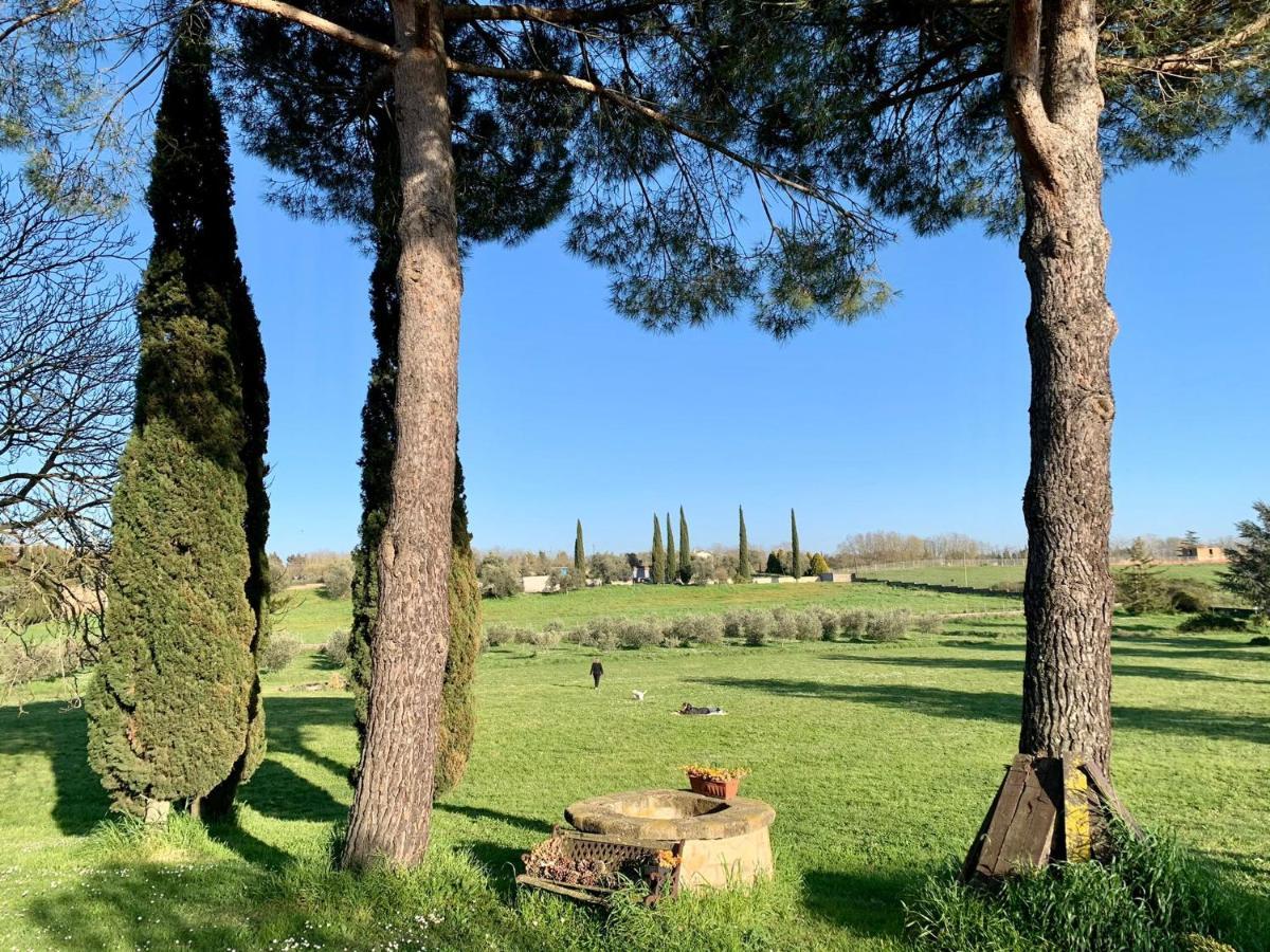 Il Casale Di Gardenia Bed & Breakfast Cesano Dış mekan fotoğraf