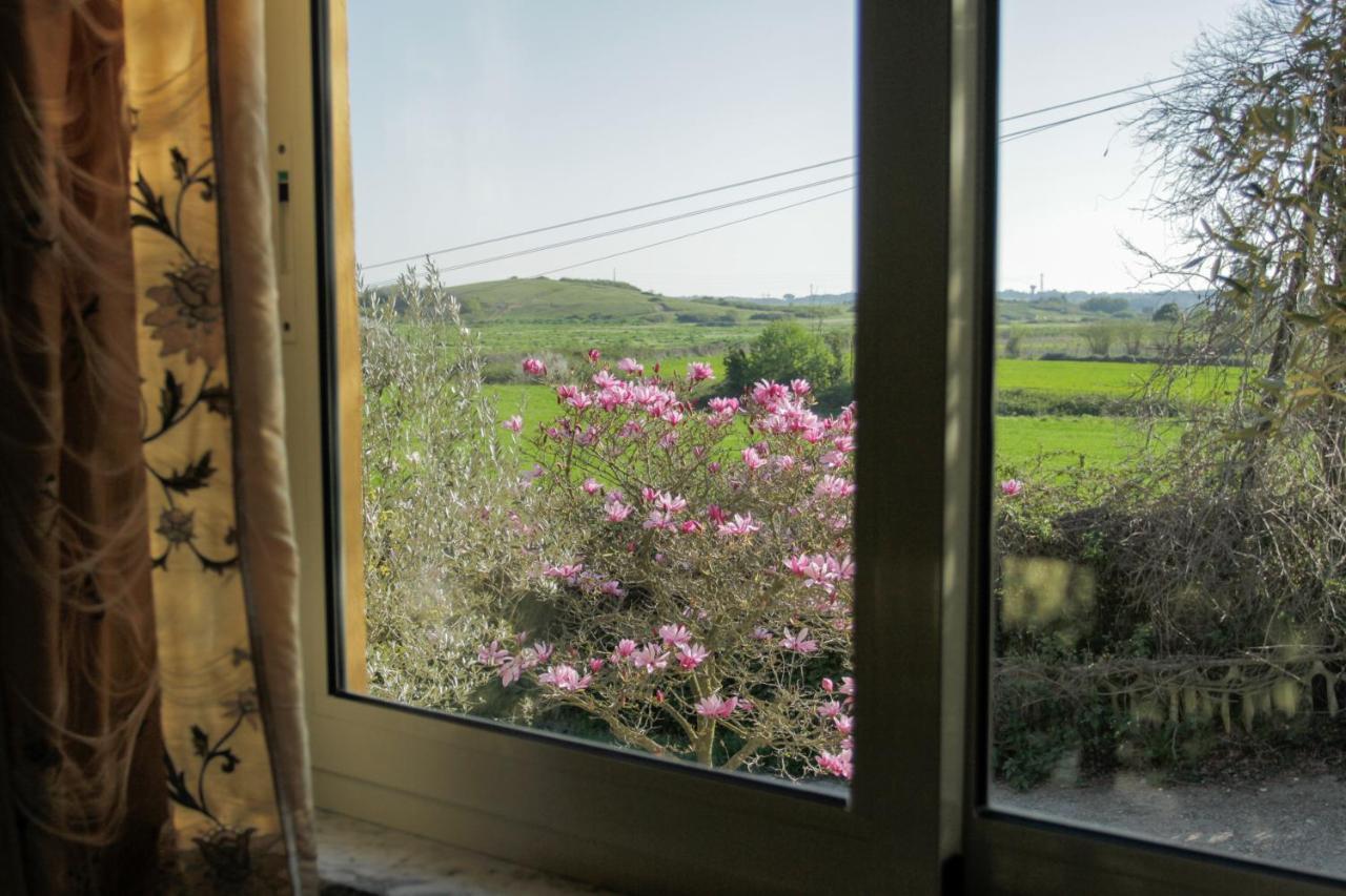 Il Casale Di Gardenia Bed & Breakfast Cesano Dış mekan fotoğraf